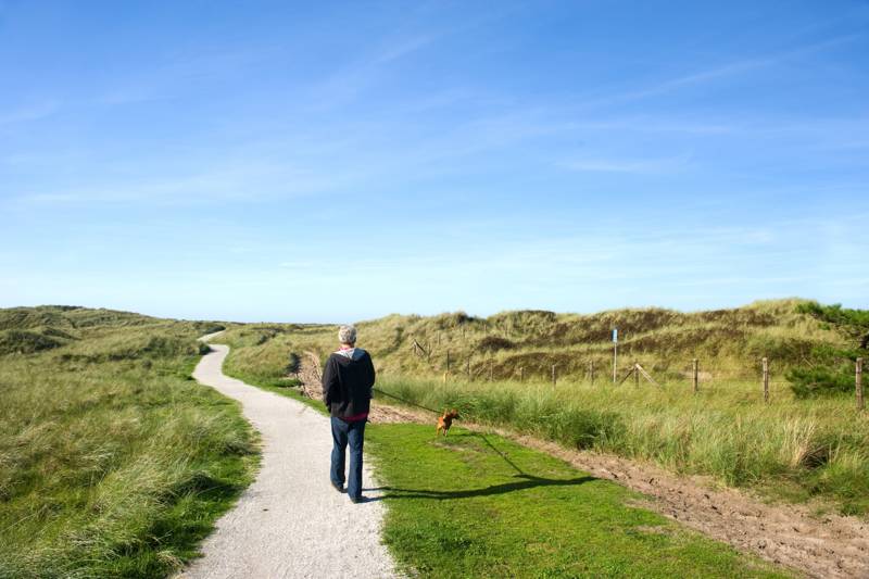 Ameland mit Hund: ein unvergesslicher Urlaub für Sie und Ihren vierbeinigen Freund