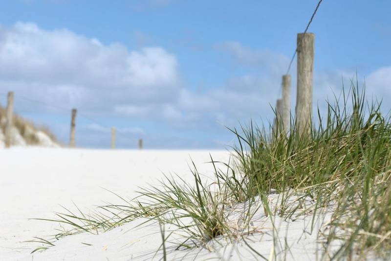 Optimal genießen während einem langen Wochenende auf Ameland